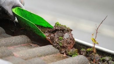 What is a fact about gutter cleaning