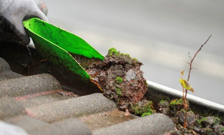 What is a fact about gutter cleaning?