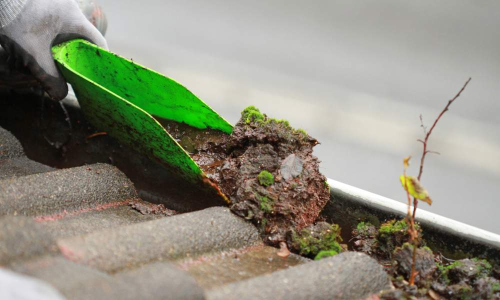 What is a fact about gutter cleaning