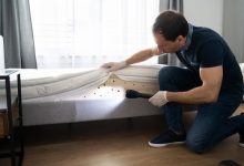 Safeguarding Your Home: Expert Bed Bugs Pest Control Services