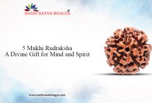 5 Mukhi Rudraksha: A Divine Gift for Mind and Spirit