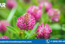Red Clover Market, Analysis, Growth, Share 2023-2028