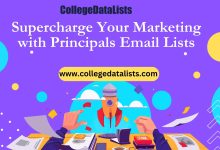 Supercharge Your Marketing with Principals Email List